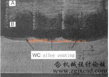 080605858215577.jpg