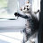 2010082807580500001.gif