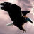 101001zkb7kfc5n2gb2c07.gif