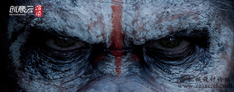 ape1.jpg