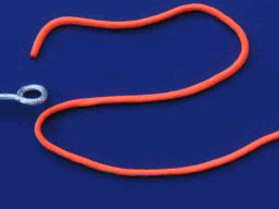 11050720439938676a7ee64573.GIF