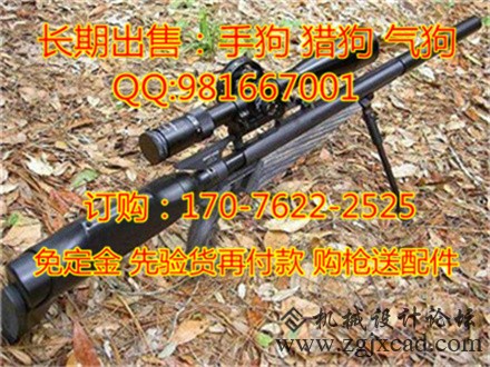  工字牌枪_工字牌枪