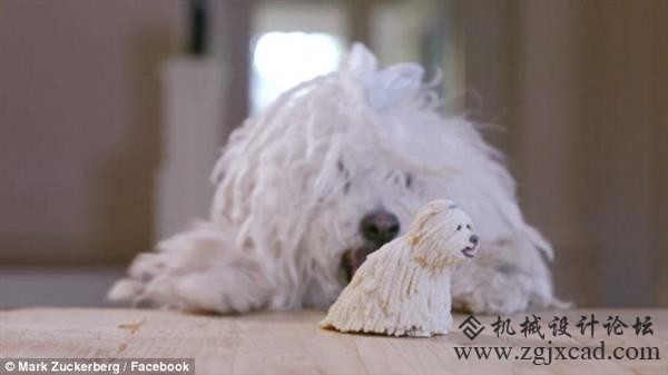 扎克伯格送3D打印逼真塑像做礼物：爱犬表情亮了