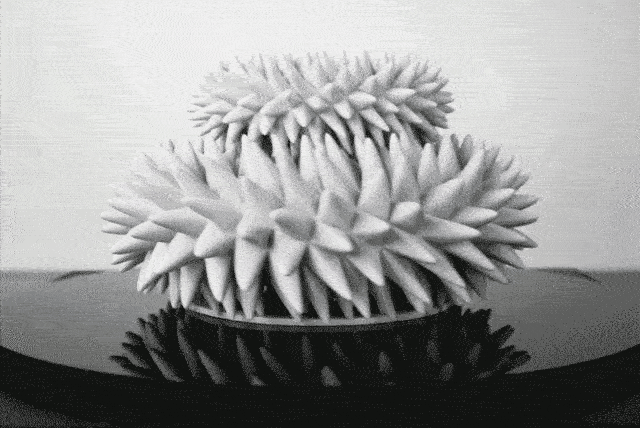 吓跑密集恐惧症者 3D打印神奇的花朵