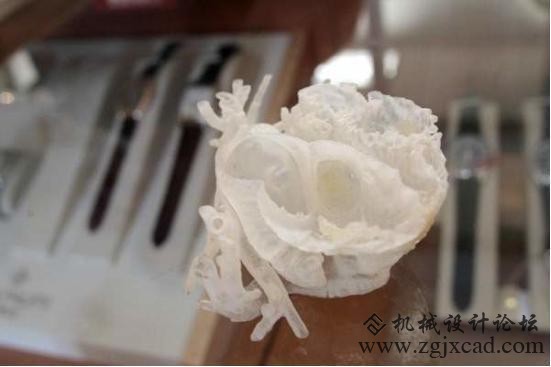 盘点史上最酷的八个3D打印案例 只有想不到没有做不到