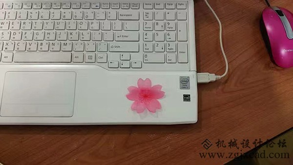 完爆您的眼球！创想三维CR-8 3D打印机的3D打印产品“活”了