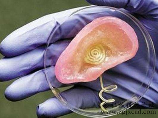 未来3D打印器官或不再是梦想 澳洲大学黑科技让人憧憬
