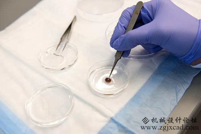 当医疗遇到3D打印 心脏病防治或迎来新曙光