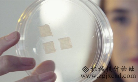 3D打印皮肤，也许是单身狗的“福利”