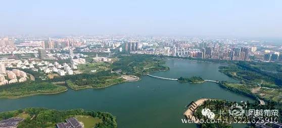 中国城市经济三年夜正面典范：武汉、合肥、常州
