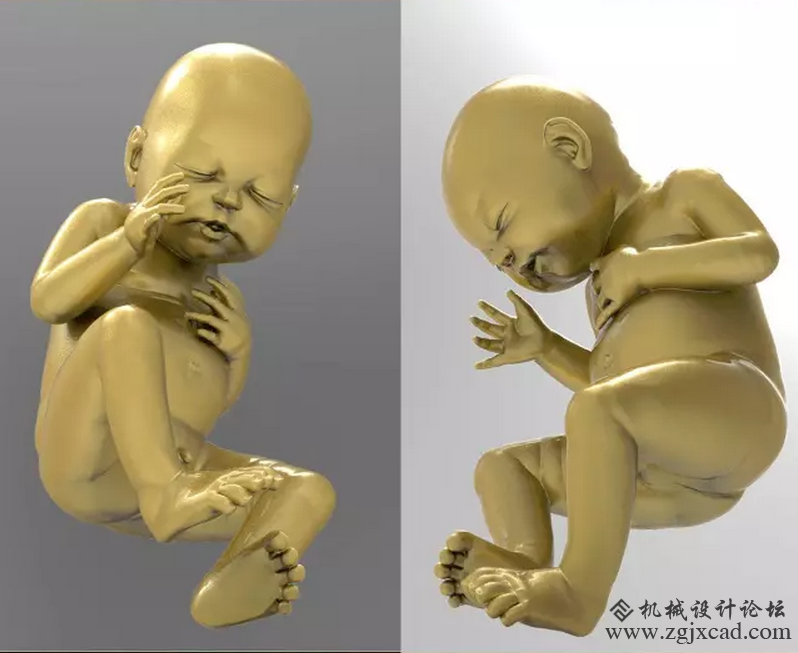 母亲节献礼：3D打印腹中小婴儿