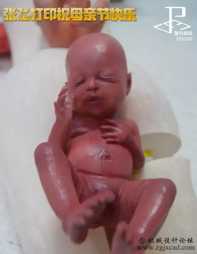 母亲节献礼：3D打印腹中小婴儿