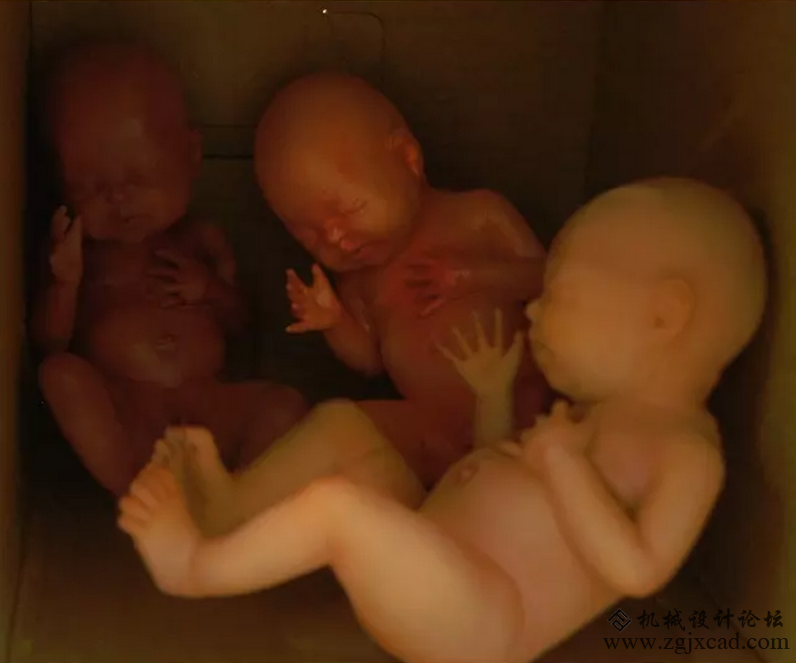 母亲节献礼：3D打印腹中小婴儿