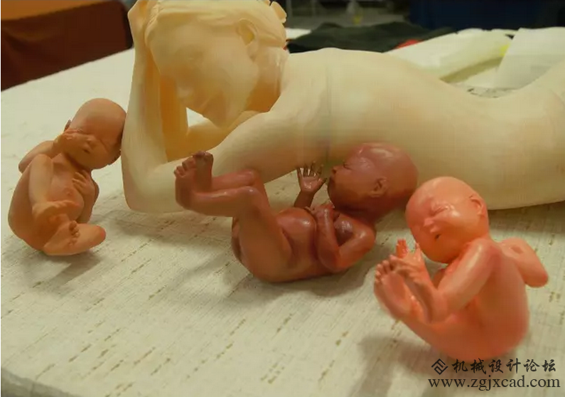 母亲节献礼：3D打印腹中小婴儿