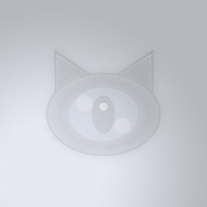 C919走向世界必需留意的事