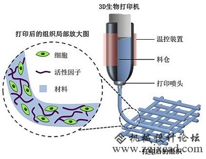 前方为你送来3D打印的“女朋友”！请接住