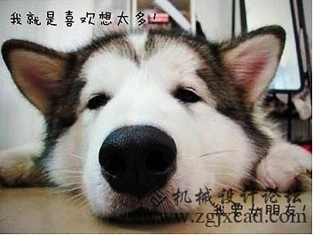 前方为你送来3D打印的“女朋友”！请接住