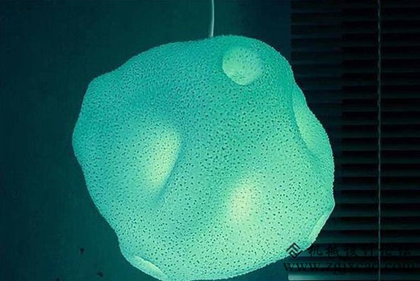 微观世界中的另一种美！3D打印的花粉灯
