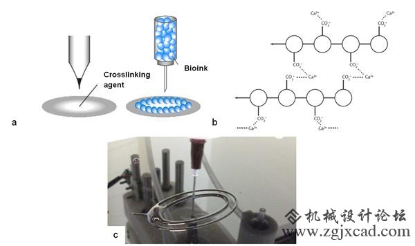 3Dynamic Systems交联生物3D打印方法有望用于治疗小耳畸形