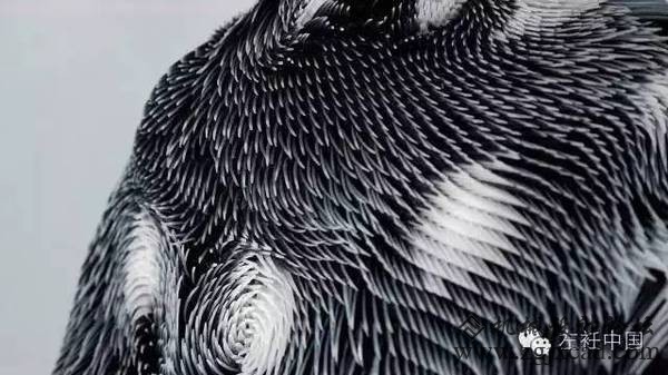 她的3D打印服装不仅能够呼吸，还能检测旁人的性别、年龄甚至注视