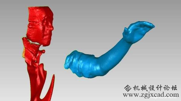 3D打印已经可以打印器官了？起码帮到了一只鸟！