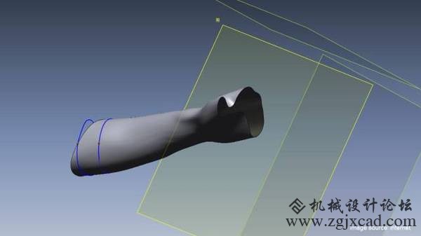 3D打印已经可以打印器官了？起码帮到了一只鸟！
