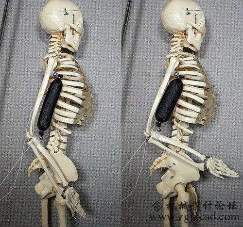 人造肌肉问世 机器人将不再钢筋铁骨 