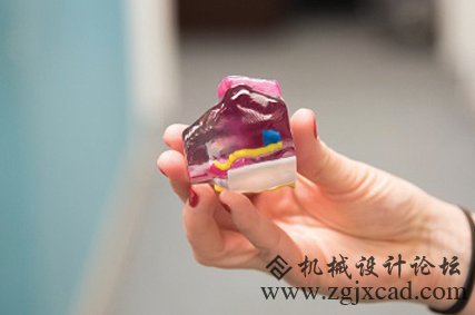 LaGuardia工作室3D打印全彩肾脏和前列腺模型用于临床试验