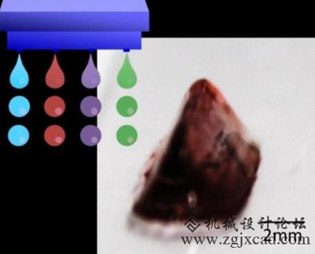 3D打印新方法助力器官再生，研究人员打印出复杂生物结构