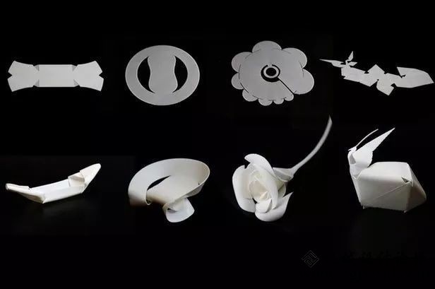 科学家用3D打印机的缺陷生成了一朵可以自动开合的花