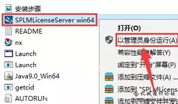 9.webp.jpg
