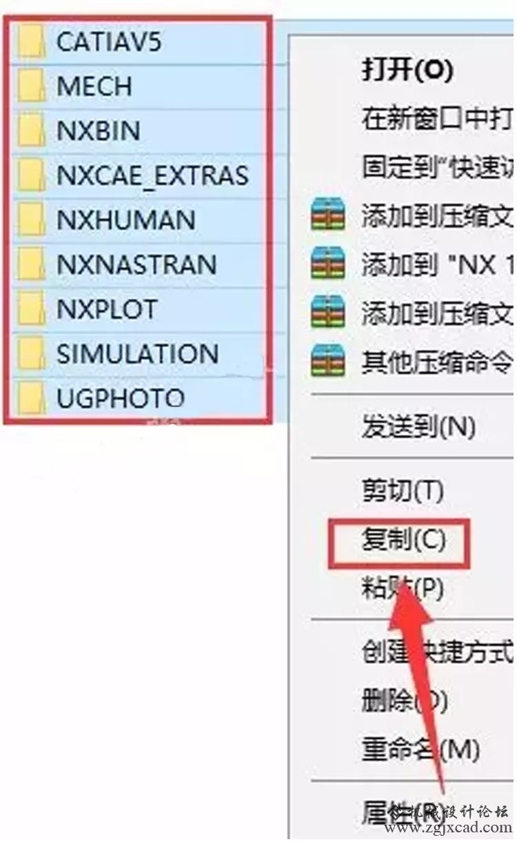47.webp.jpg