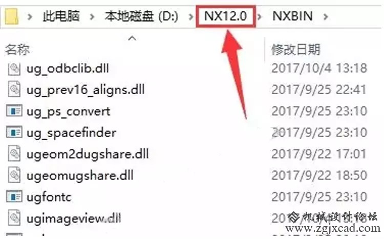 51.webp.jpg