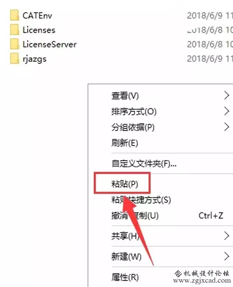 52.webp.jpg