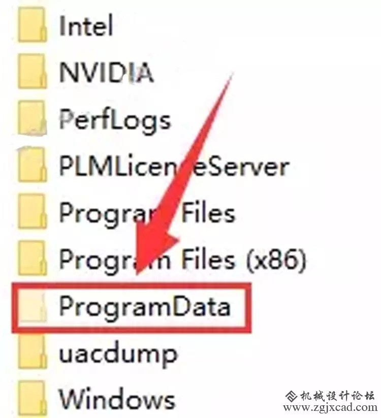 49.webp.jpg
