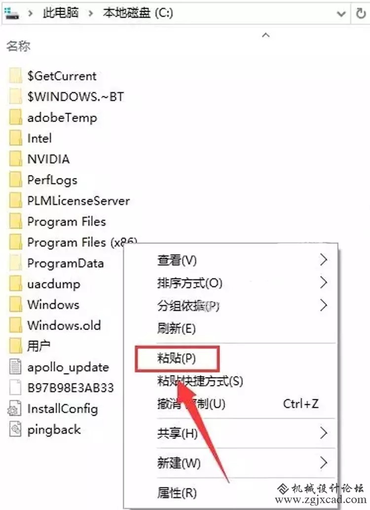 50.webp.jpg