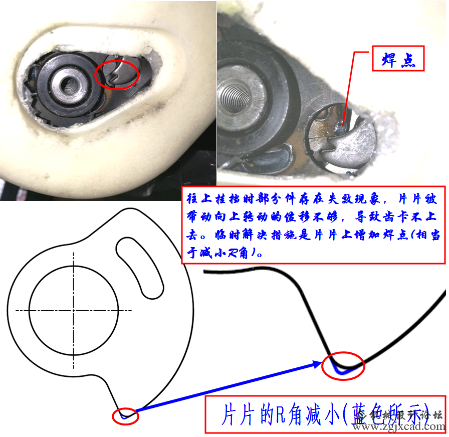 片片.jpg