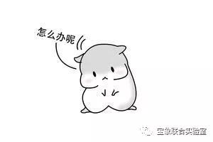 技术1.jpg