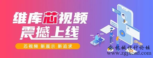 维库芯视频