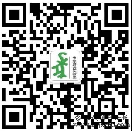 小象.jpg