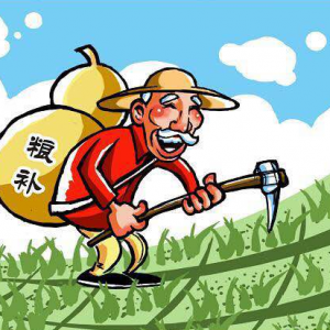 速看：关于农机直补最新消息