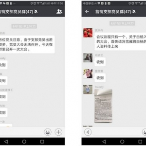 一次形式新颖的支部党员大会