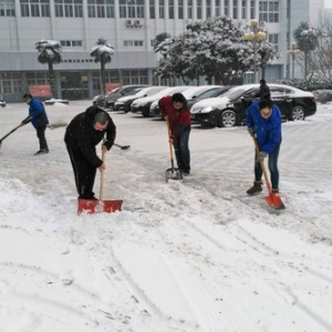 瑞雪兆丰年 劳动展风采